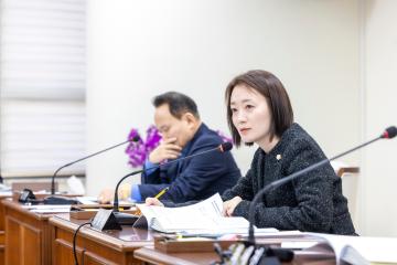 행정재무위원회 1-4차회의(제317회 임시회)